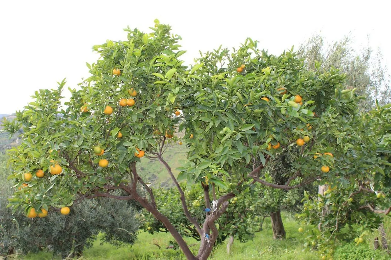 Villa Costa Grande Villabate Italy