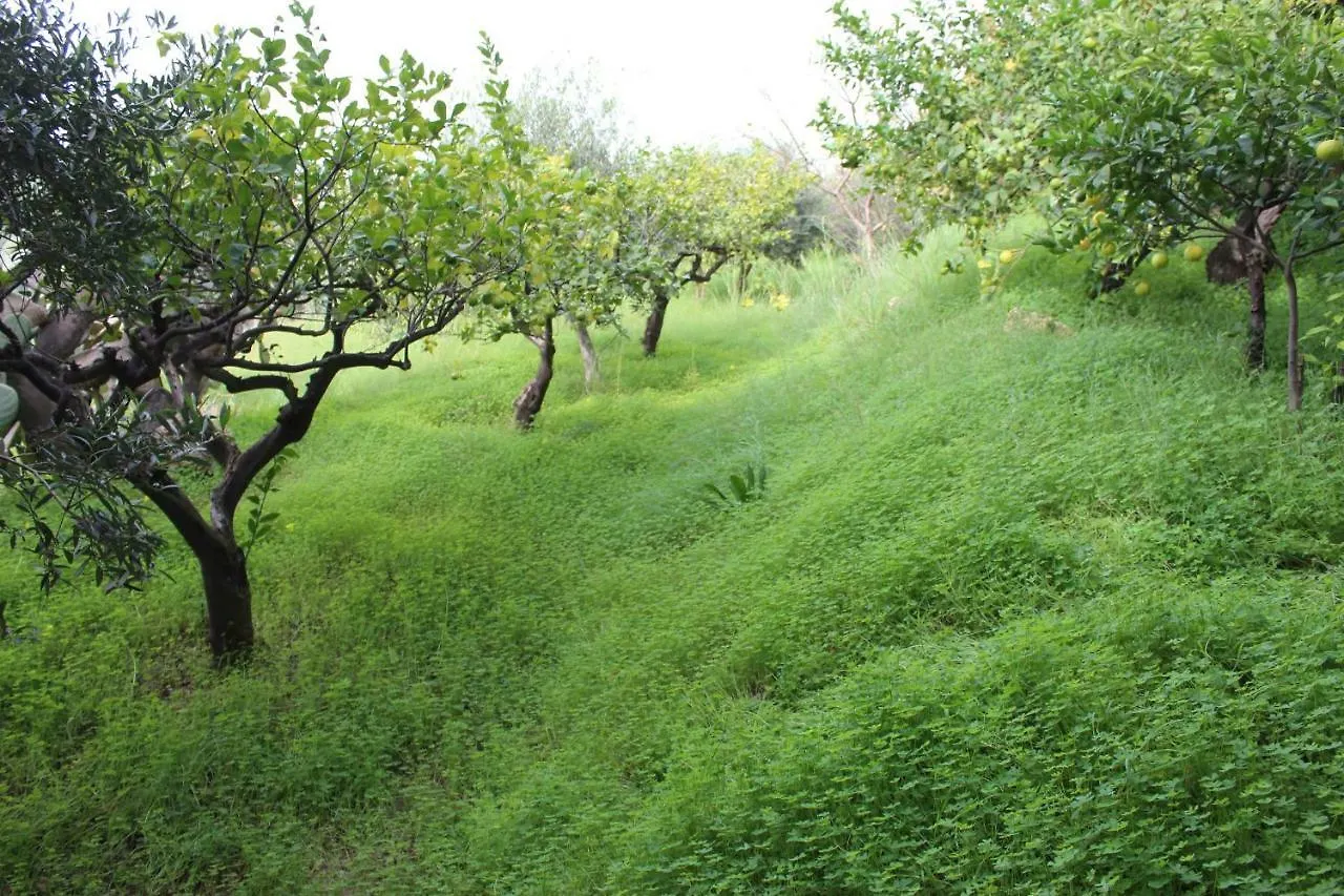 Holiday home Villa Costa Grande Villabate Italy