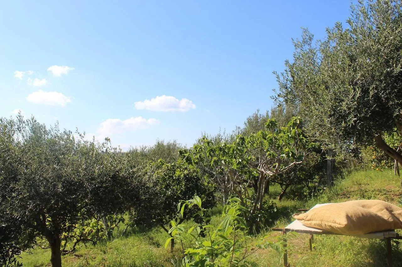 Holiday home Villa Costa Grande Villabate Italy